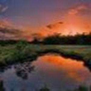 Meet your Posher, Ayse